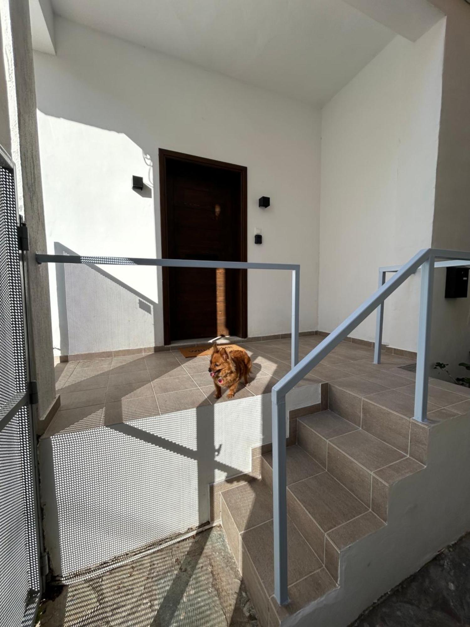 Appartement Stella'S Petite Boite à Rafína Extérieur photo