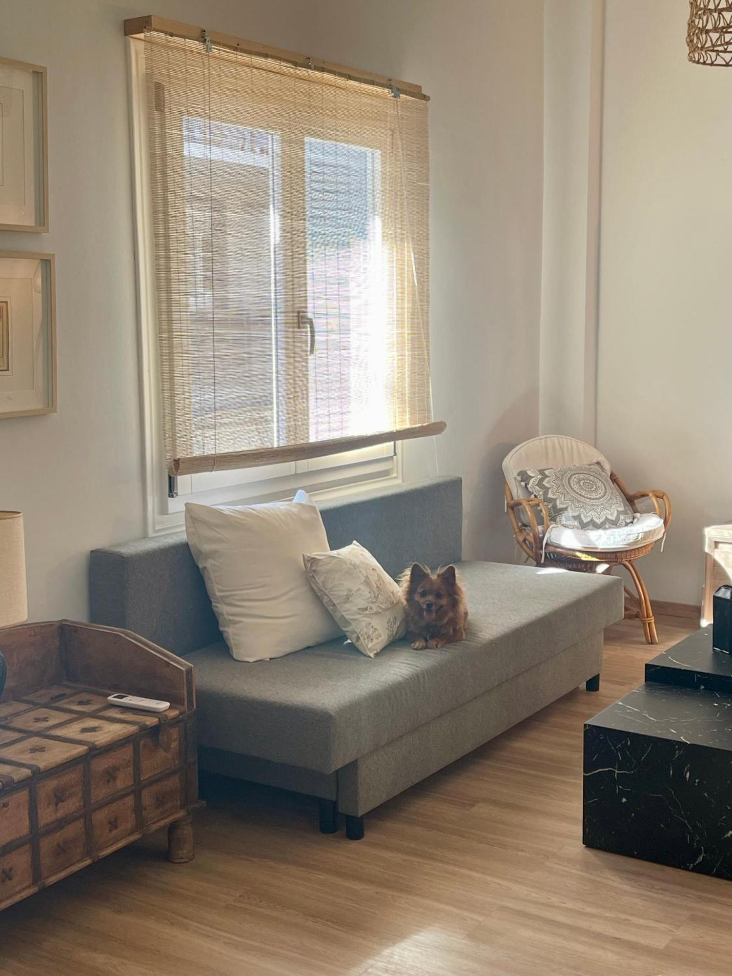 Appartement Stella'S Petite Boite à Rafína Extérieur photo